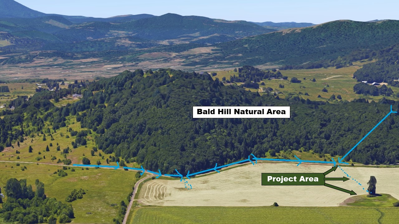 Dunawi Creek Regeneration Site Project Area