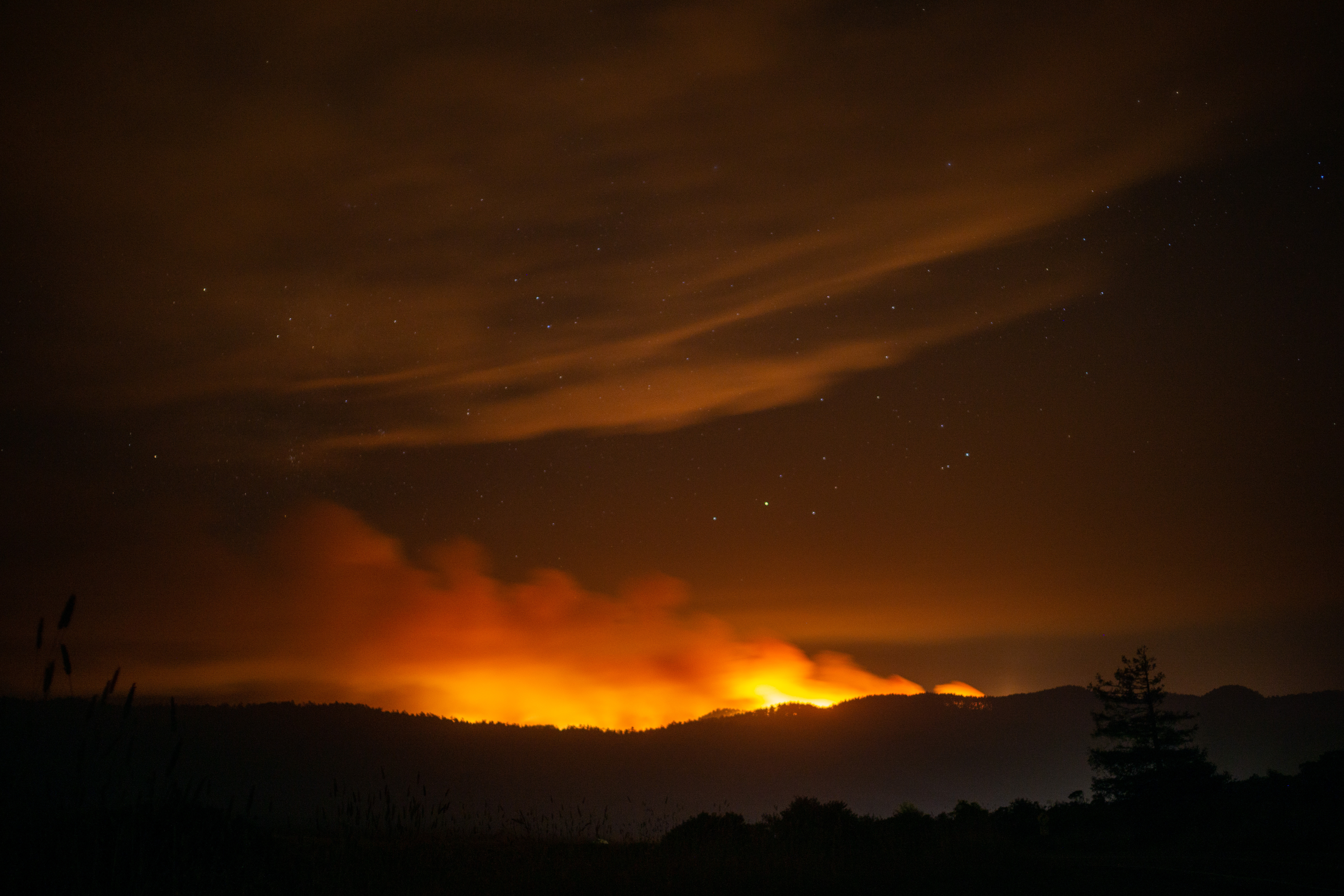 Large Wildfire