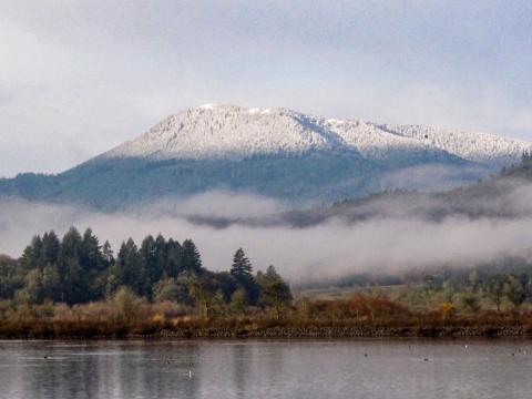 Snow on Marys Peak