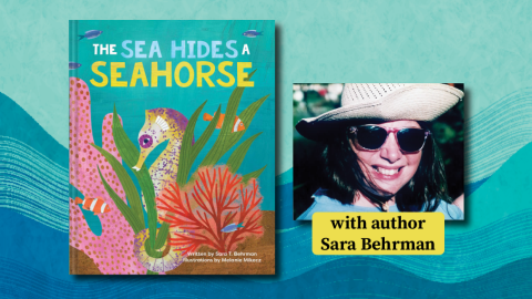 The book cover of The Sea Hides A Seahorse by author Sara Behrman