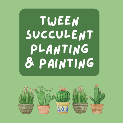 succulent plants in pots on a green background