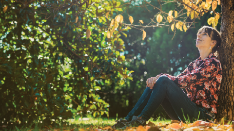 A woman sitting under a tree, looking up