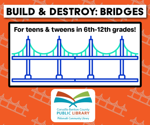 BUILD & DESTROY: BRIDGES with depiction of bridge