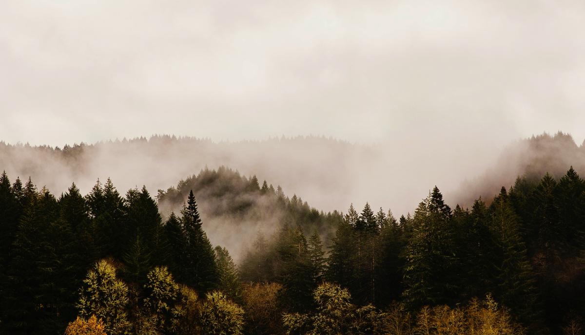 Oregon Mountains